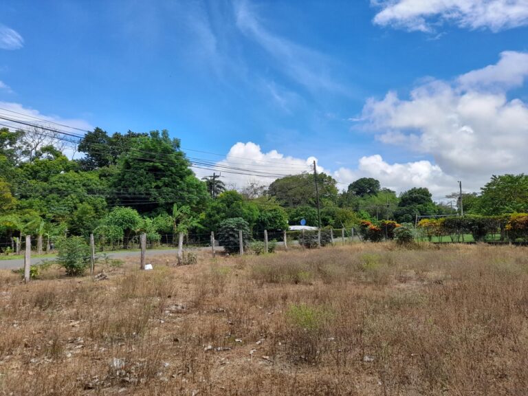 Lote en Venta camino a Las Lajas