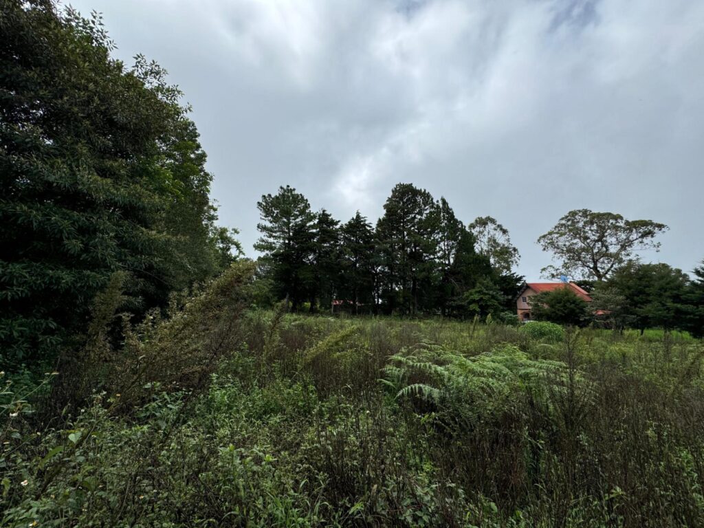 Lote en Venta en Jaramillo