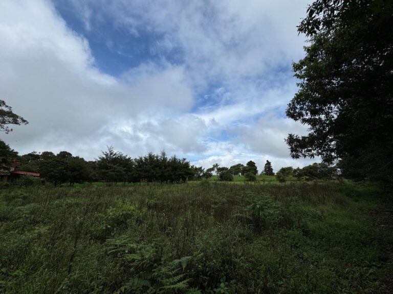Terreno En Venta