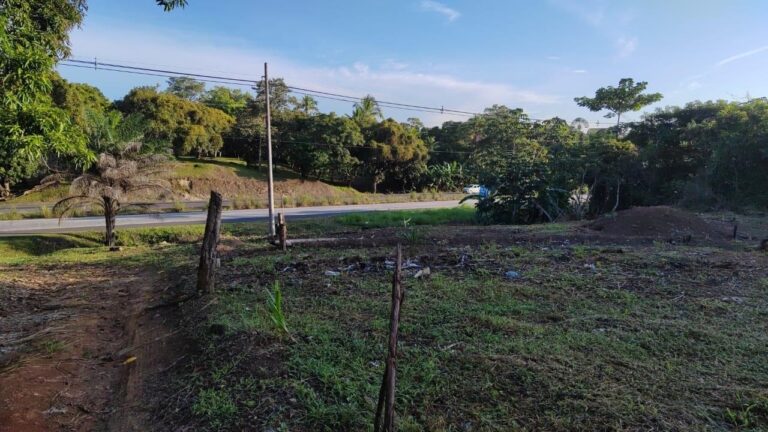 Terreno En Venta