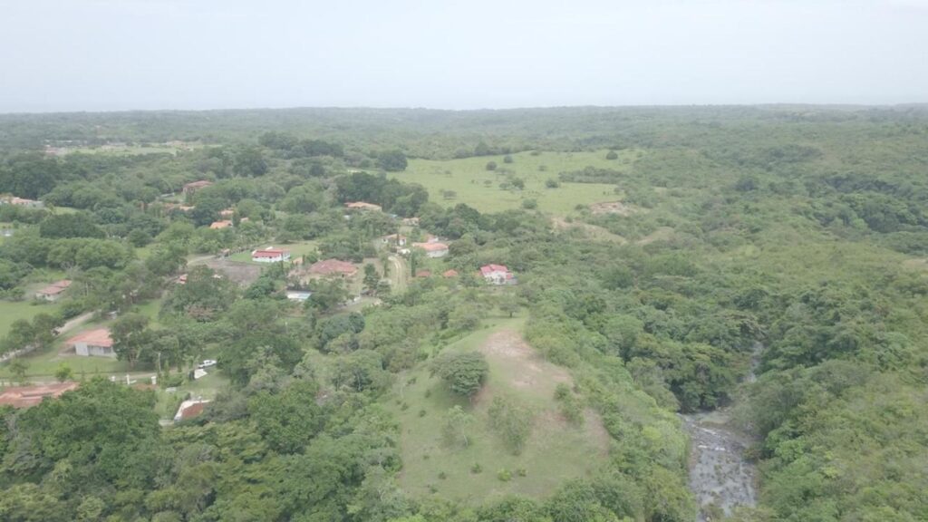 San Carlos