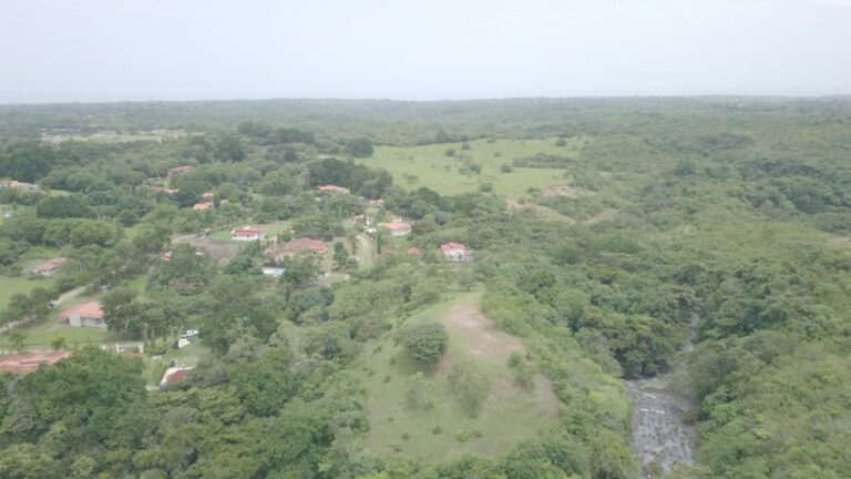 San Carlos