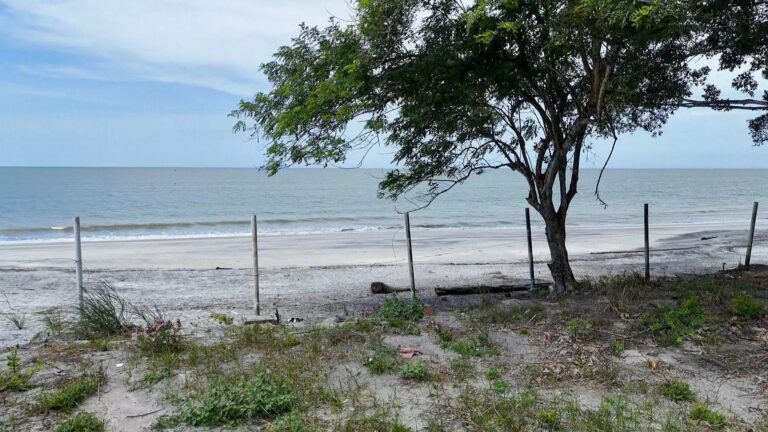 Panamá