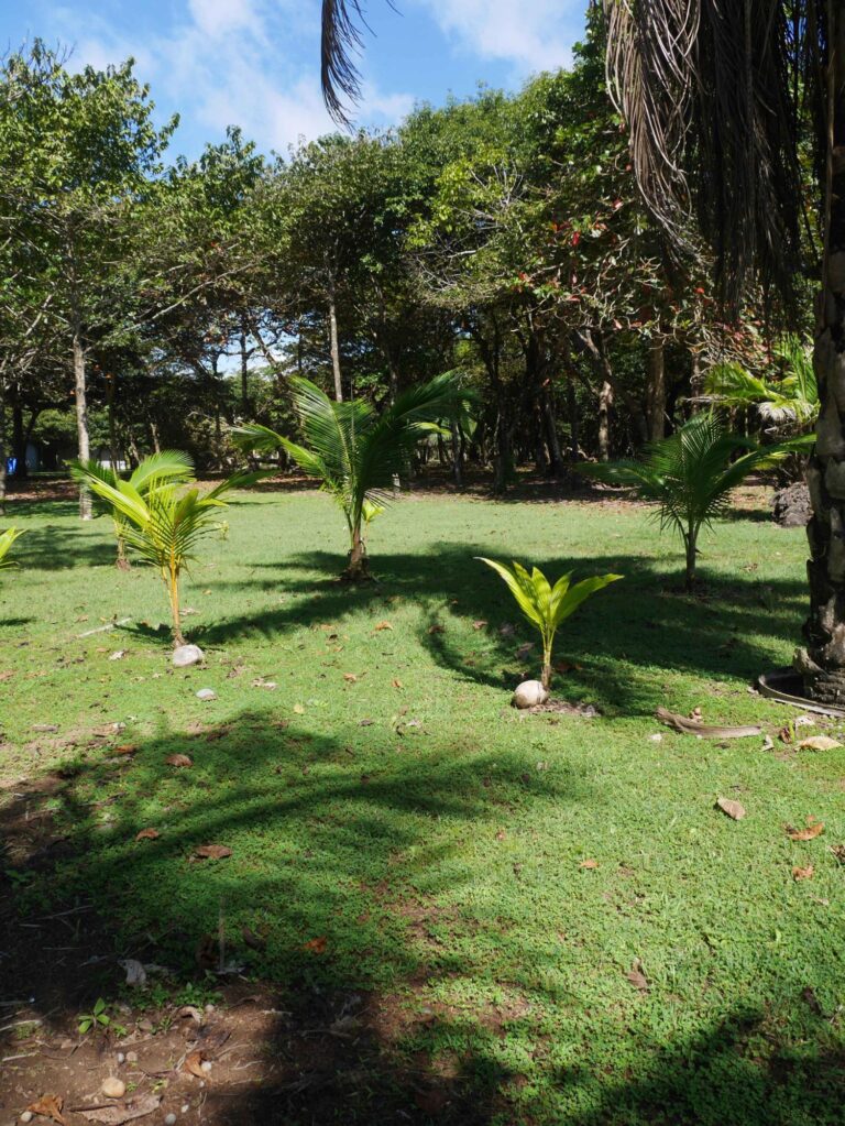 Playa Nanzal lot