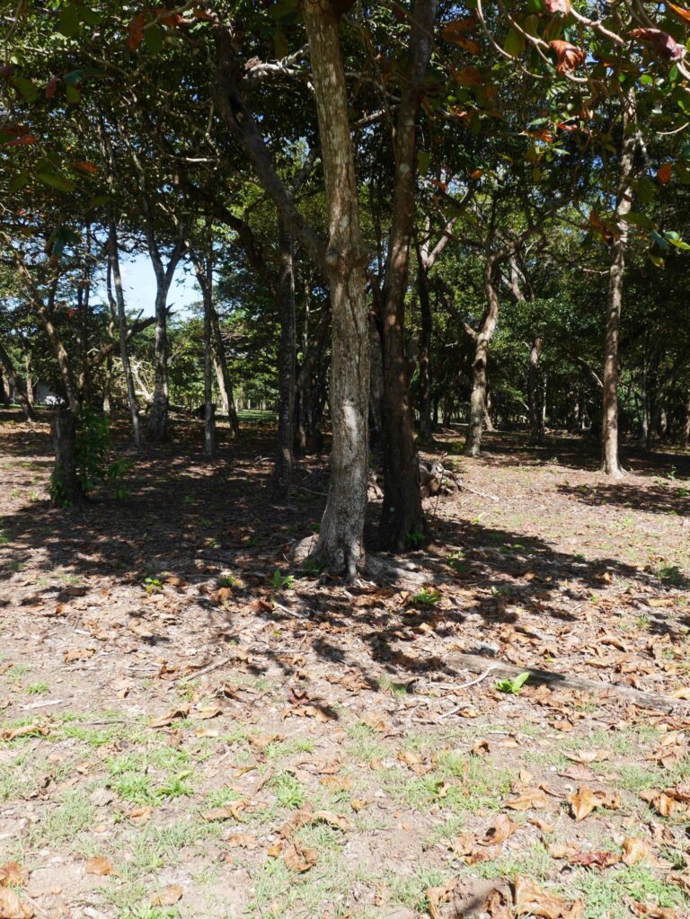 Chiriqui