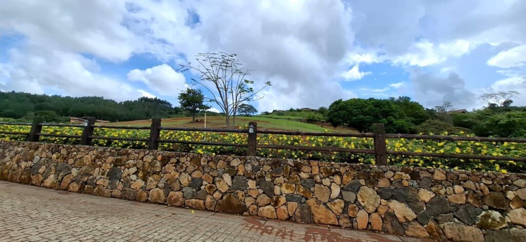 Panamá Oeste