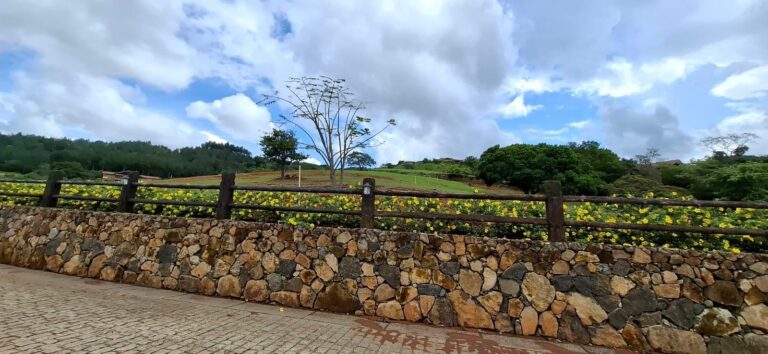 Panamá Oeste