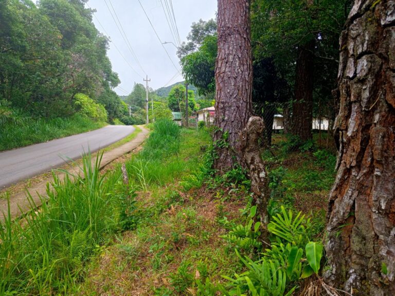 Road Front Lot Jaramillo