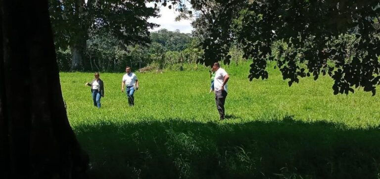 SE VENDE TERRENO EN VOLCÁN CHIRIQUI TISI