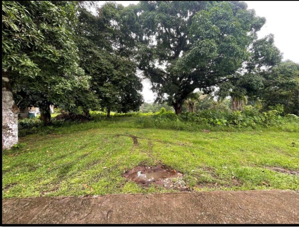 TERRENO CIUDAD BOLIVAR