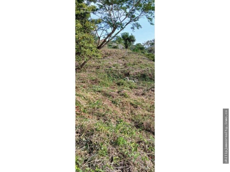 Panamá Oeste