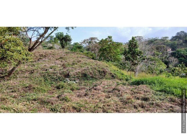 Terreno En Venta