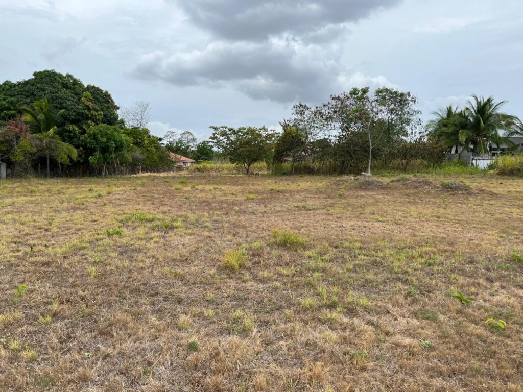 Terreno