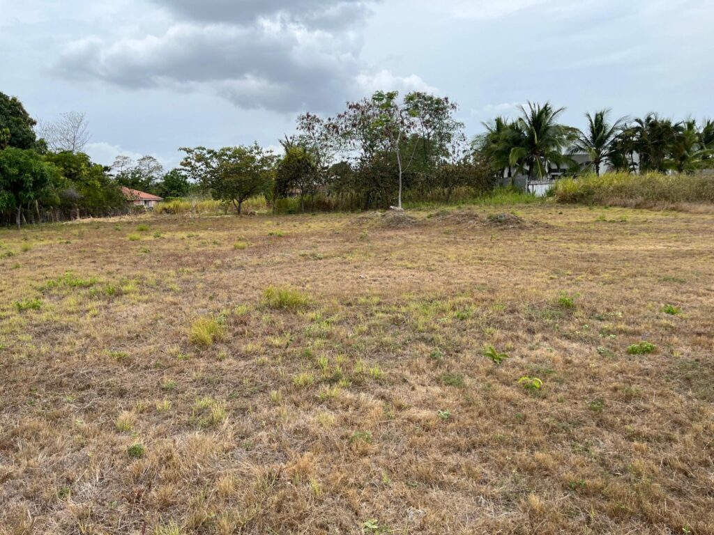 Panamá Oeste