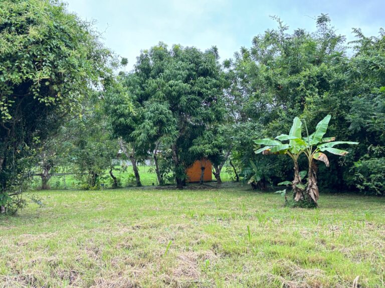 Terreno