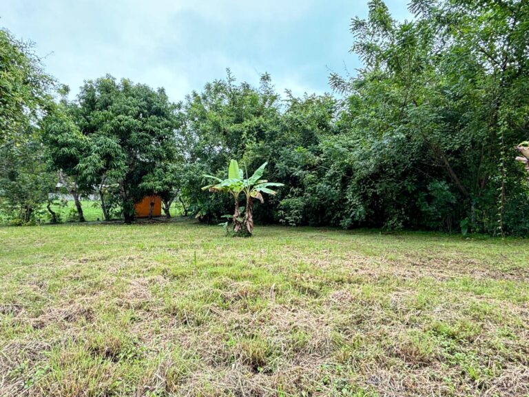 Terreno En Venta