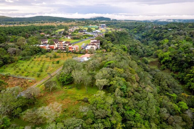 Palmira