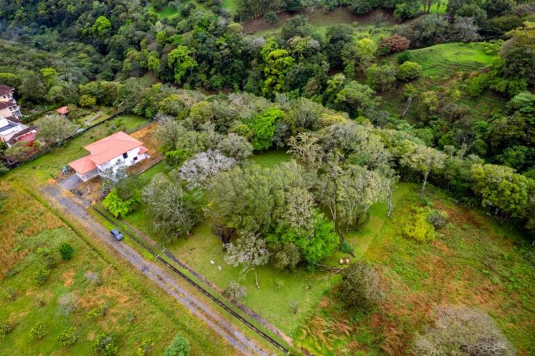 Chiriqui