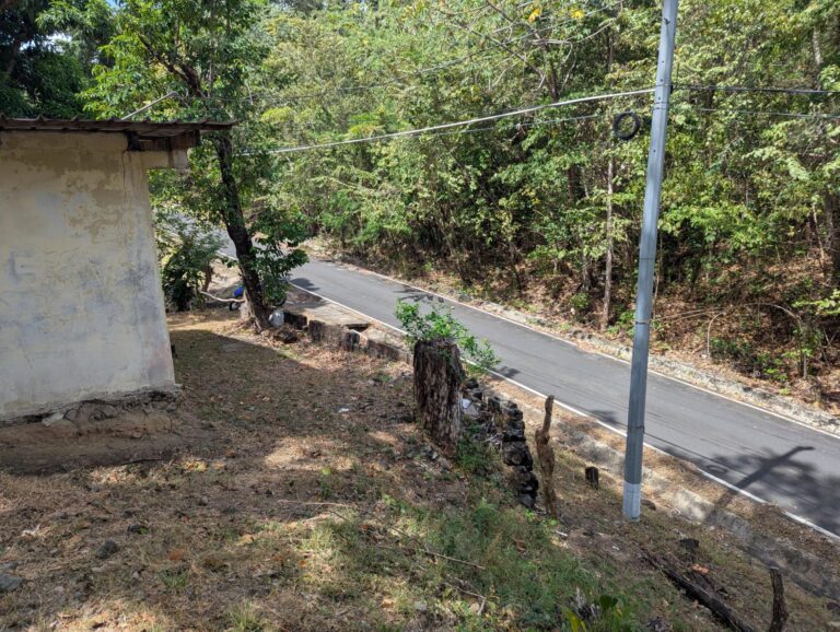 Panamá Oeste