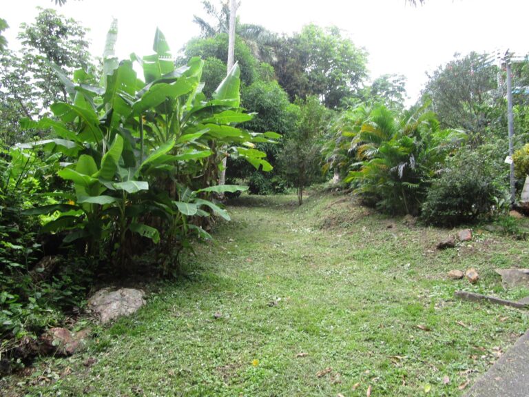 Terreno Taboga