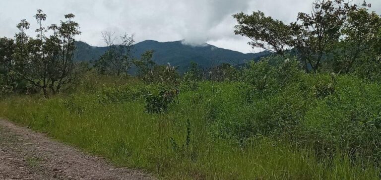 Terreno en Boquete