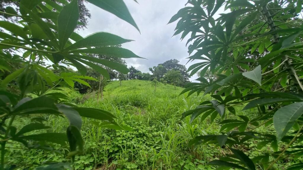 Panamá