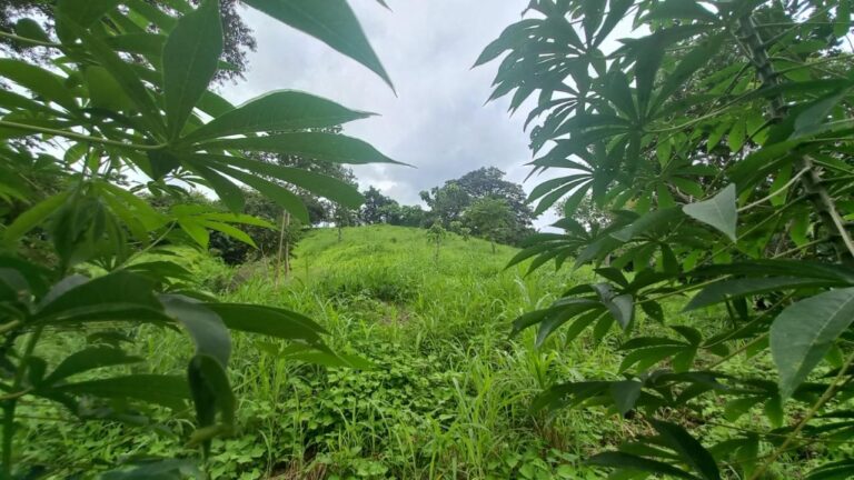 Panamá