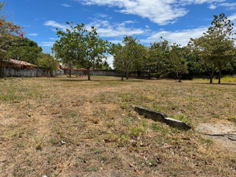 Terreno en Coronado
