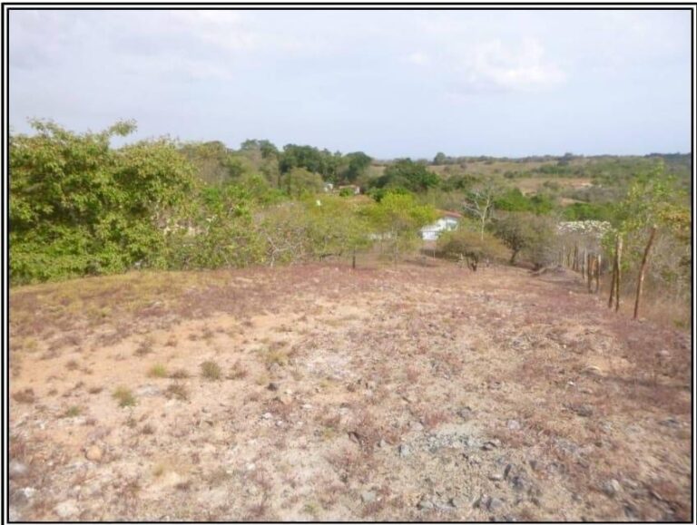 Terreno en El Valle de Santa Catalina