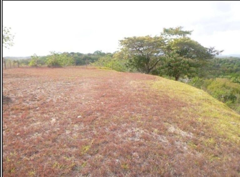 El Valle