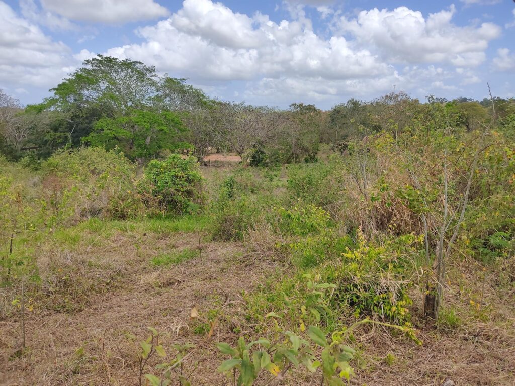 La Chorrera