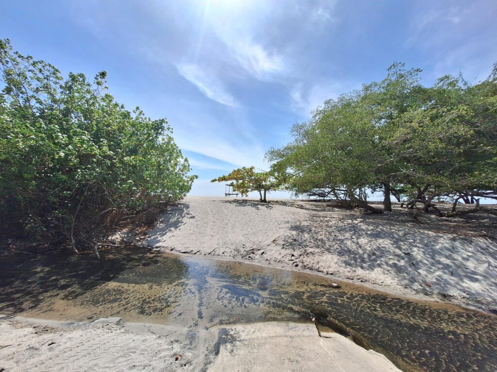 San Carlos