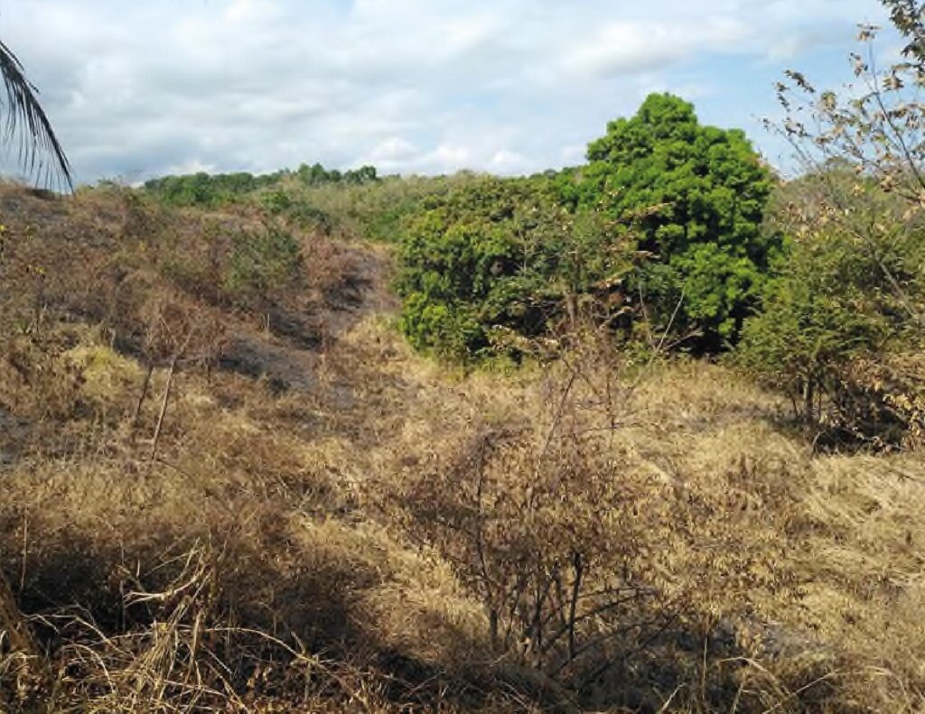 Panamá Oeste