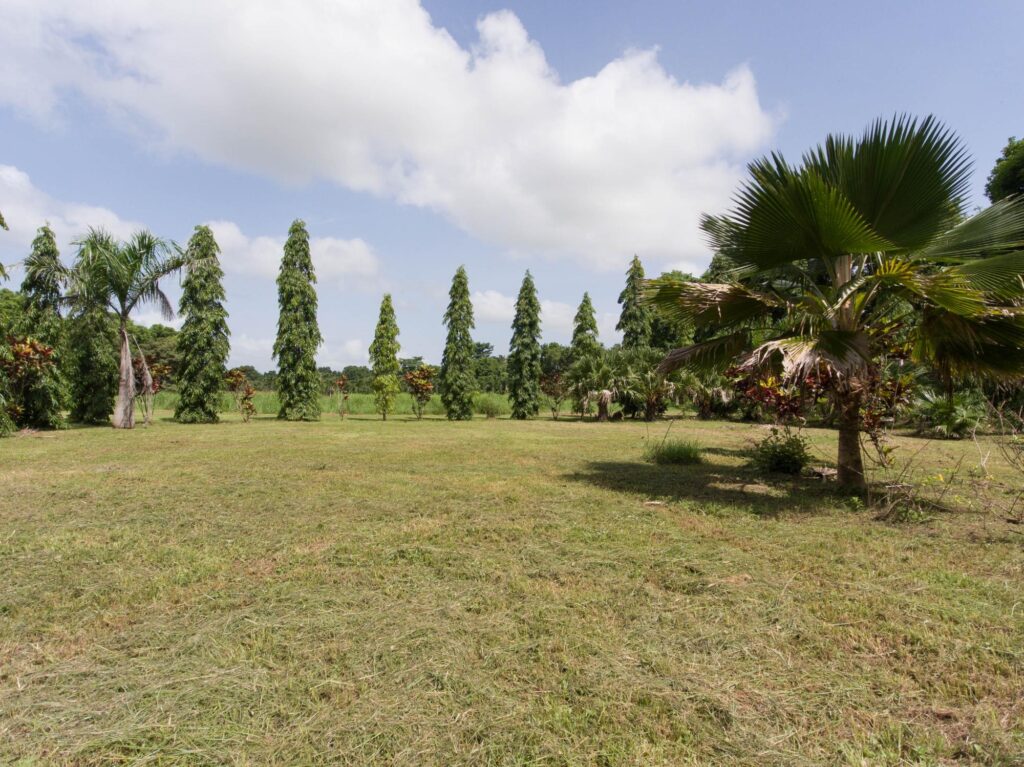 Terreno en Río Hato