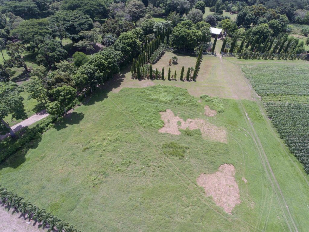 Río Hato