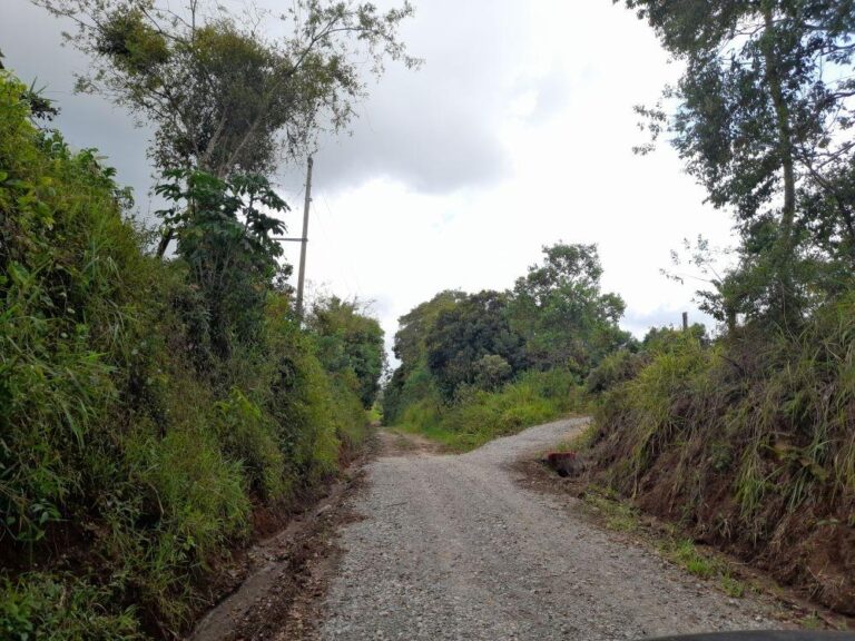 Terreno En Venta