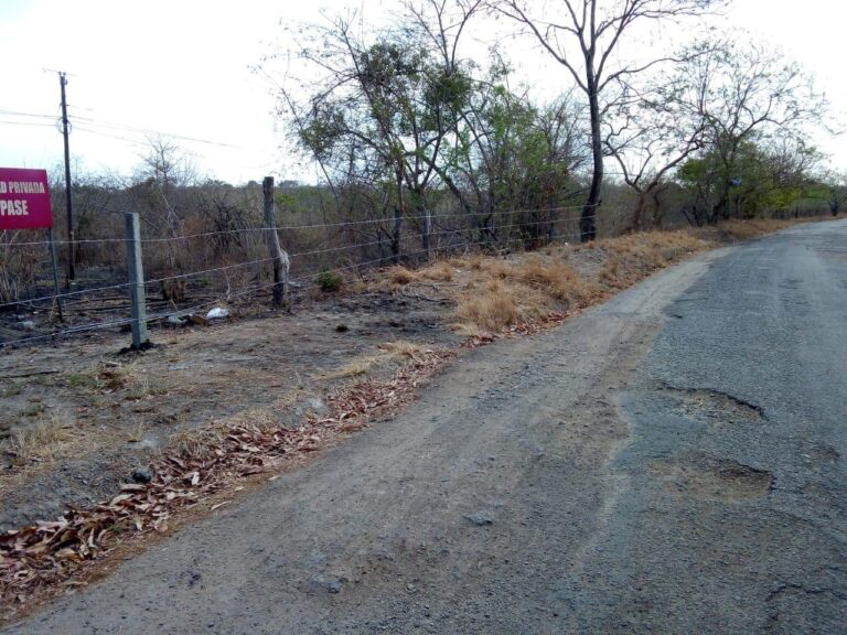 Terreno En Venta
