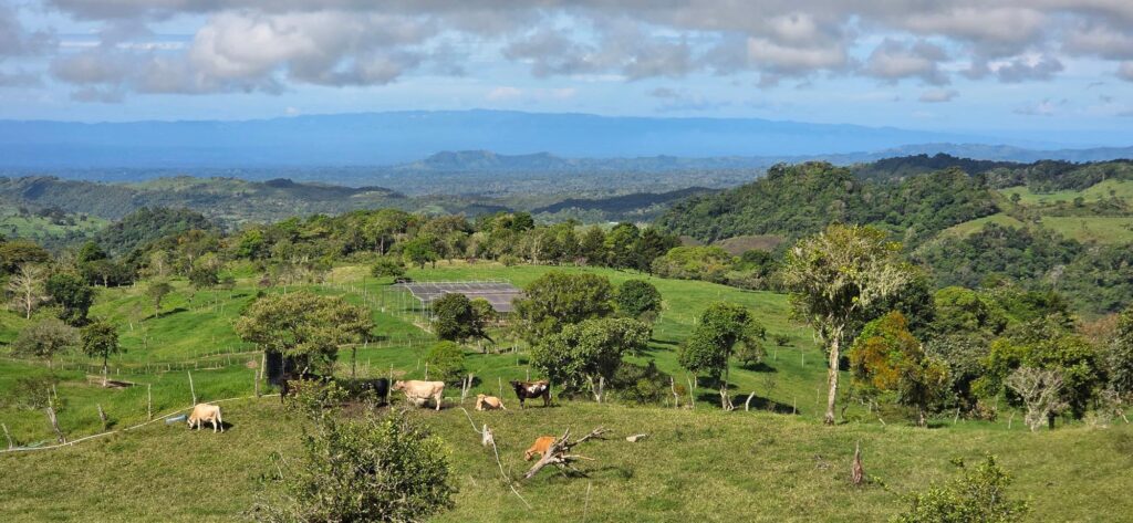 Terrenos Panorámicos en Cordillera Arrib