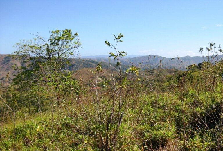 Panamá