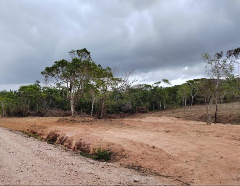 Panamá