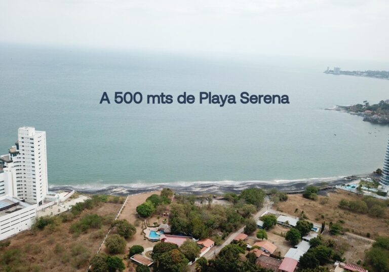 Gorgona