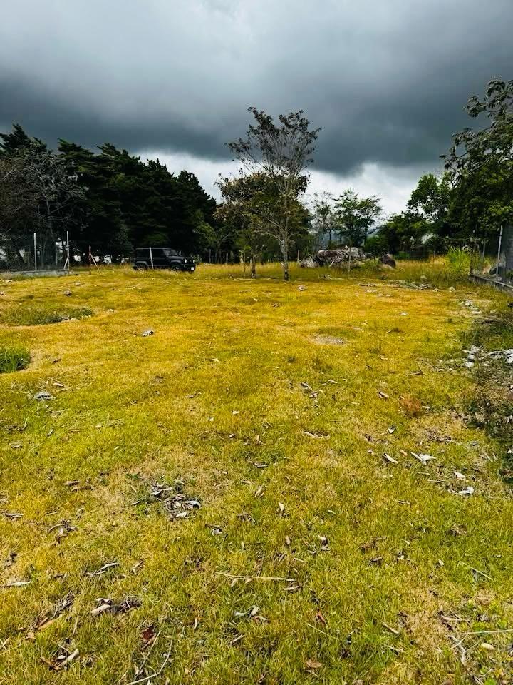 terreno