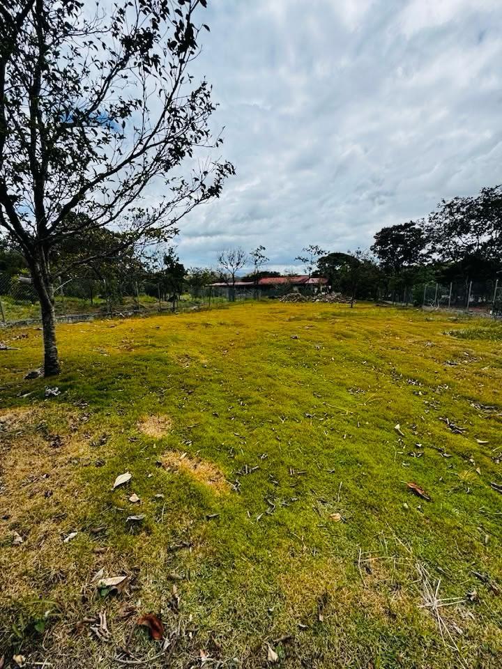 Chiriqui