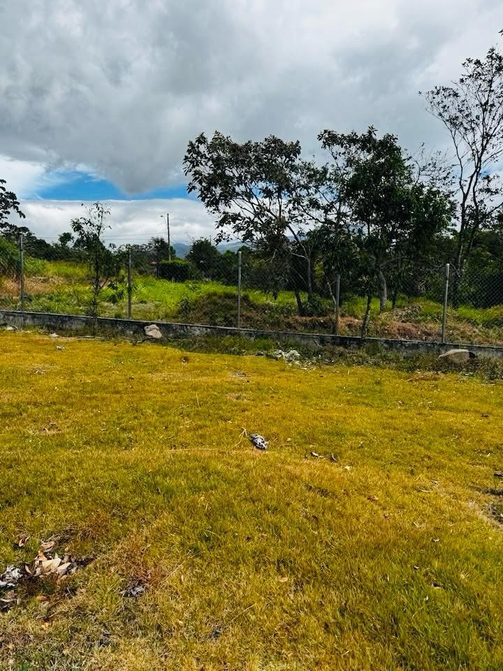 Terreno En Venta