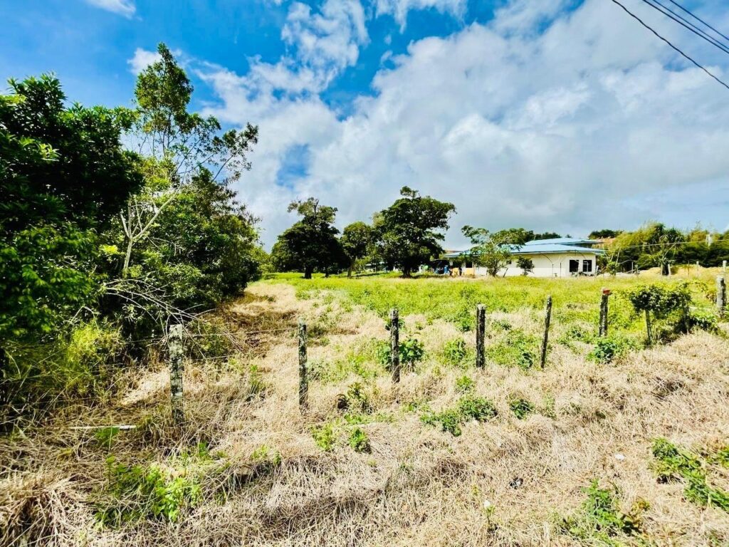 terreno