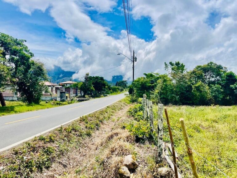 Terreno En Venta