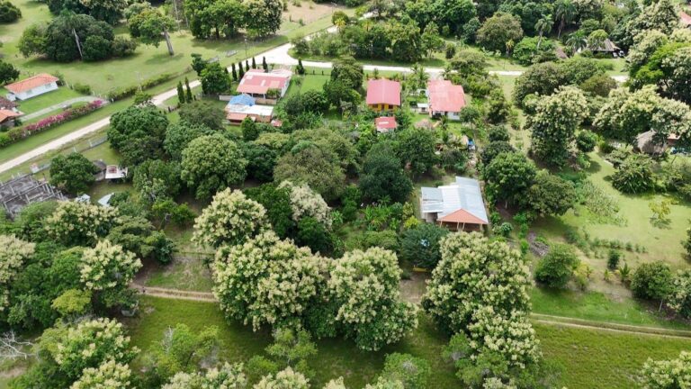 ¡Terreno en venta en Santa Clara
