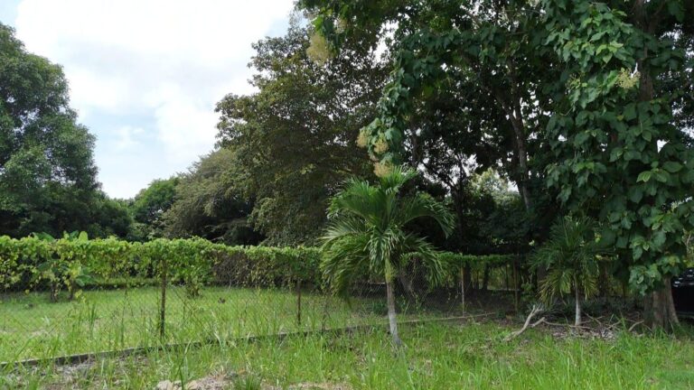 Panamá